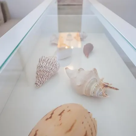 Strandglueck Haus A Strandglueck 8a Strandgutfinder De * Scharbeutz